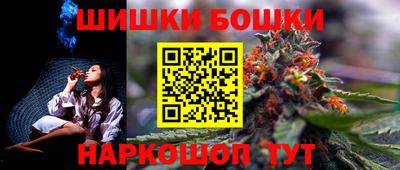 гашик Будённовск